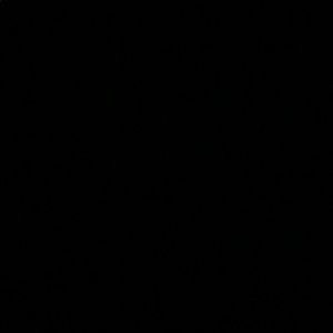 Meet your Posher, Liv